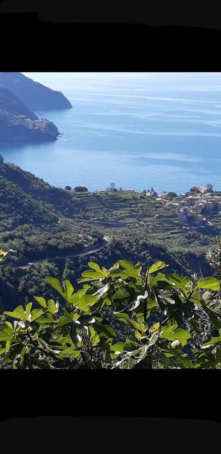 Residenza Solferino Apartamento Corniglia Exterior foto
